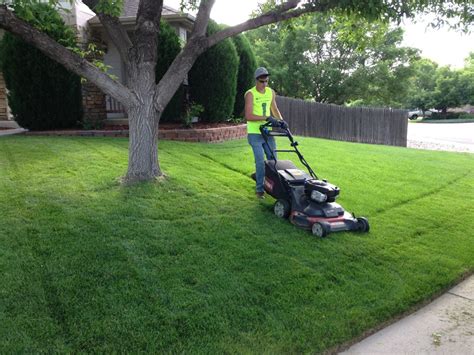 handyman for yard work near me|handyman yard services near me.